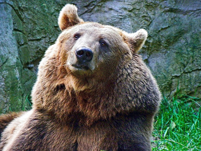 Click here to view at full resolution.