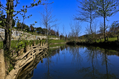 Click here to view at full resolution.