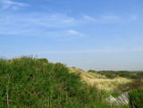 beach dune by gaeljet2, Photography->Landscape gallery