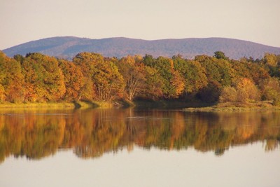 Click here to view at full resolution.