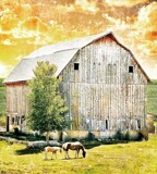 Following My Mom by Starglow, photography->manipulation gallery