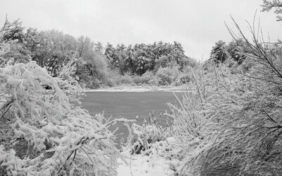 Click here to view at full resolution.