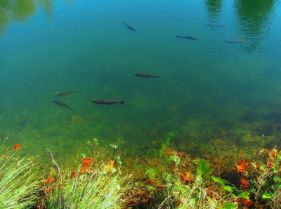 Click here to view at full resolution.