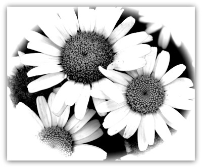 Click here to view at full resolution.