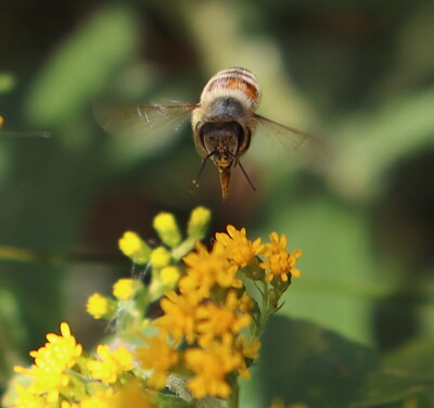 Click here to view at full resolution.
