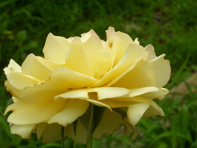 Click here to view at full resolution.