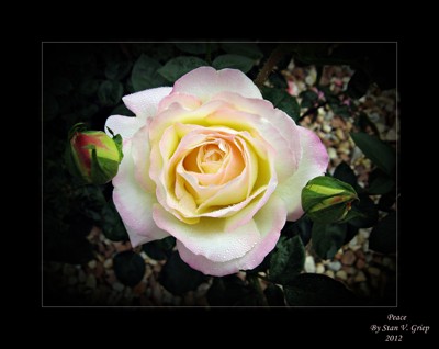 Click here to view at full resolution.