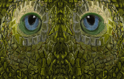 Click here to view at full resolution.