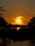 Five Pairs Of Eyes Enjoying  The View by PatAndre, Photography->Sunset/Rise gallery