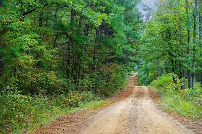 Click here to view at full resolution.