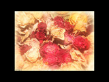 Dried roses by Junglegeorge, Photography->Flowers gallery