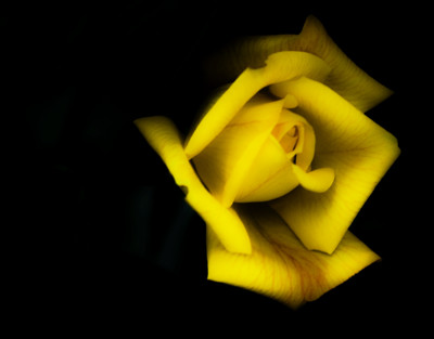 Click here to view at full resolution.