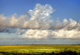 Wide Open Spaces by PatAndre, Photography->Landscape gallery