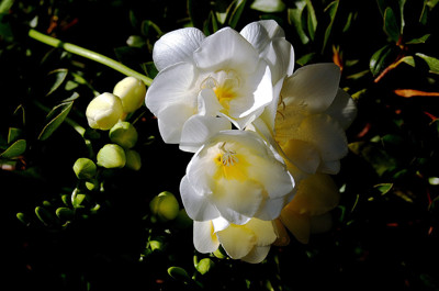 Click here to view at full resolution.
