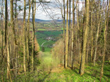 Through the trees by Blumie, Photography->Landscape gallery