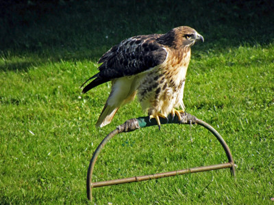 Click here to view at full resolution.