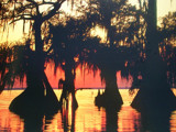 Atchafalaya Basin LA by RenieRenee, Photography->Landscape gallery