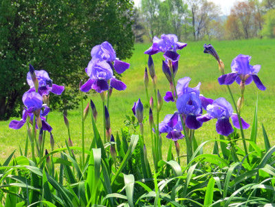 Click here to view at full resolution.