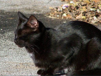 Click here to view at full resolution.