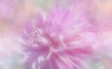 Dreamy Dahlia by LynEve, photography->flowers gallery