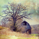 Barn on the Side of Hill by Starglow, photography->manipulation gallery