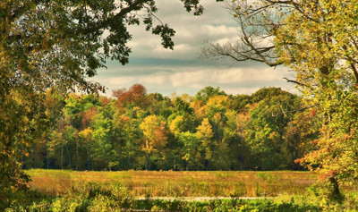 Click here to view at full resolution.