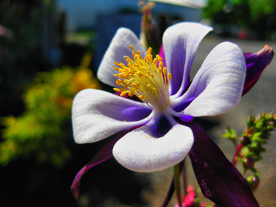 Click here to view at full resolution.
