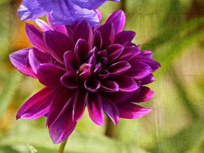 Click here to view at full resolution.