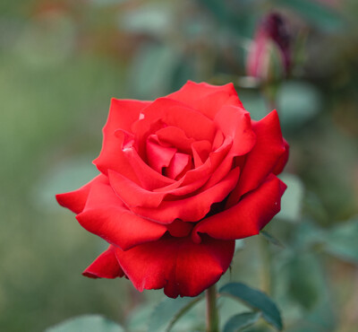 Click here to view at full resolution.