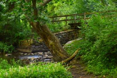 Click here to view at full resolution.