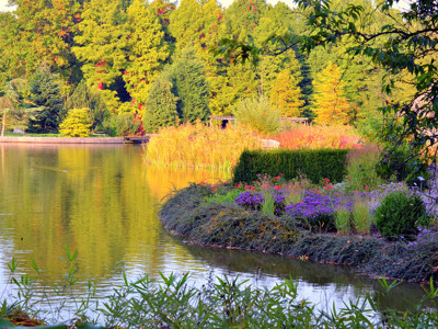 Click here to view at full resolution.