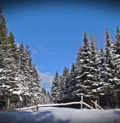 Click here to view at full resolution.