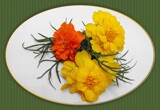Citrus shades by LynEve, photography->flowers gallery