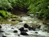 Bridge over troubled water by sunnymay, Photography->Landscape gallery