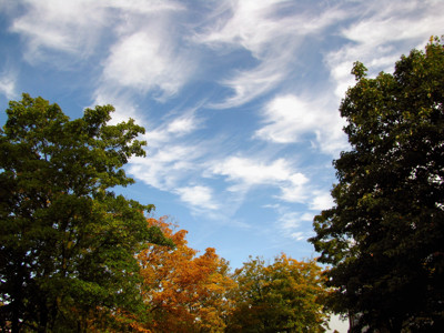 Click here to view at full resolution.