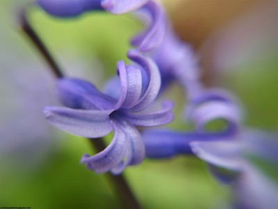 Click here to view at full resolution.