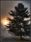 Fog by Starglow, photography->general gallery