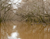 Flooded by Mvillian, Photography->Water gallery