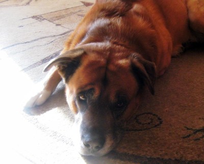 Click here to view at full resolution.