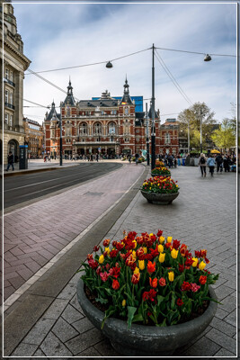 Click here to view at full resolution.