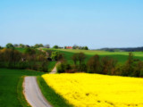 Country Road by MarianaEwa, Photography->Landscape gallery