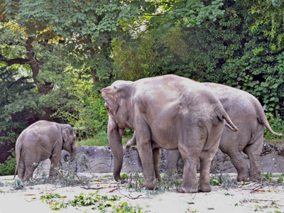 Click here to view at full resolution.