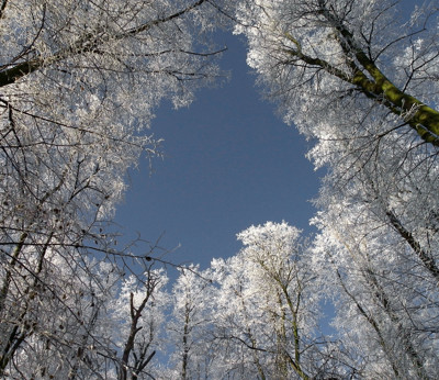 Click here to view at full resolution.