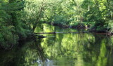 Verte River by Tomeast, photography->nature gallery