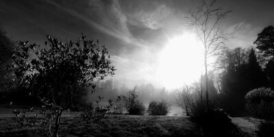 Click here to view at full resolution.