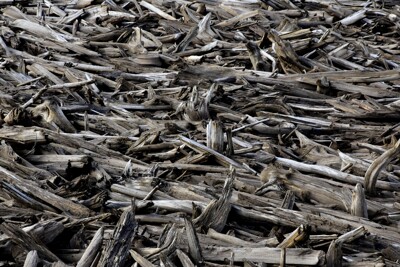 Click here to view at full resolution.