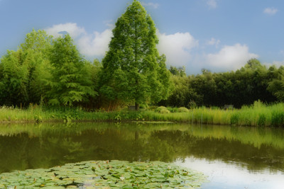 Click here to view at full resolution.