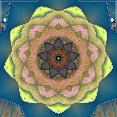 Click here to view at full resolution.