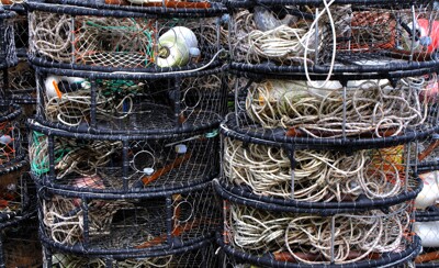 Click here to view at full resolution.