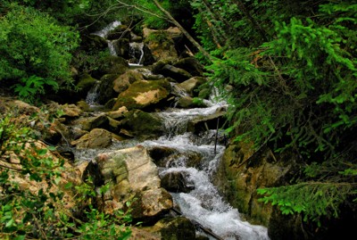 Click here to view at full resolution.